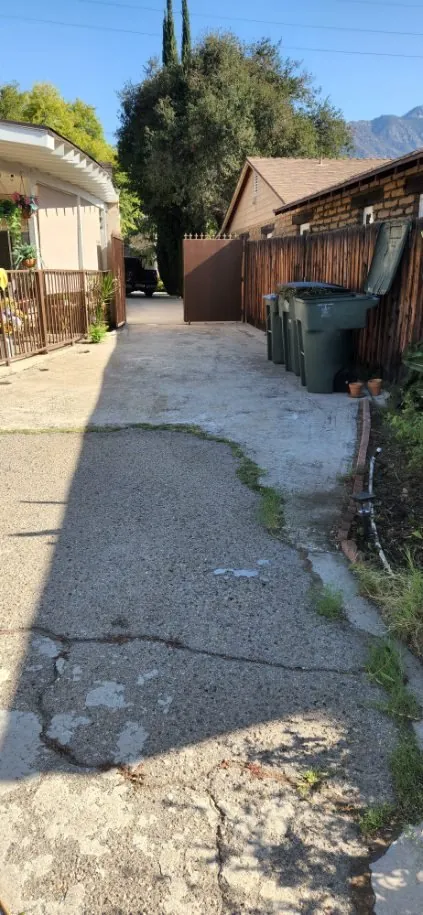 Driveway landscape garden