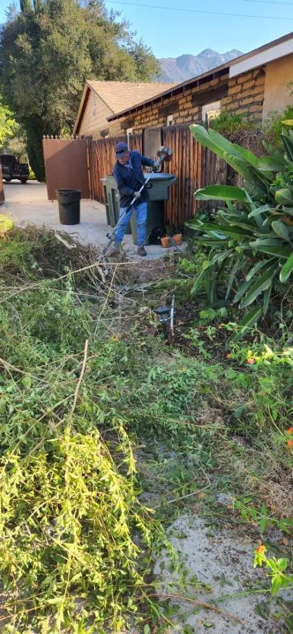 Gardener working in yard