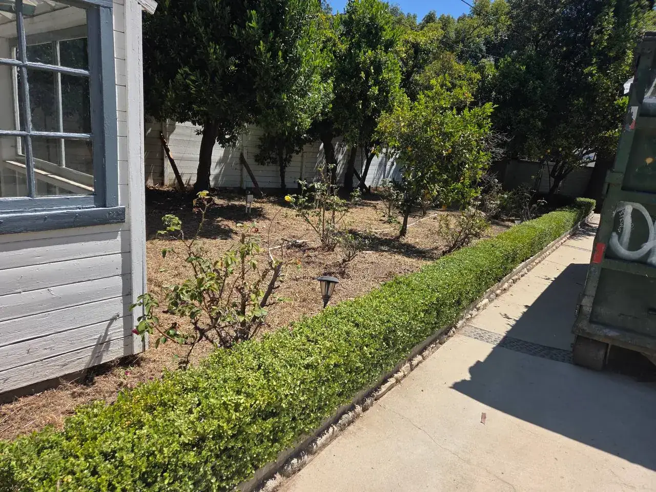 A neatly trimmed boxwood hedge along a cleared garden bed beside a cottage