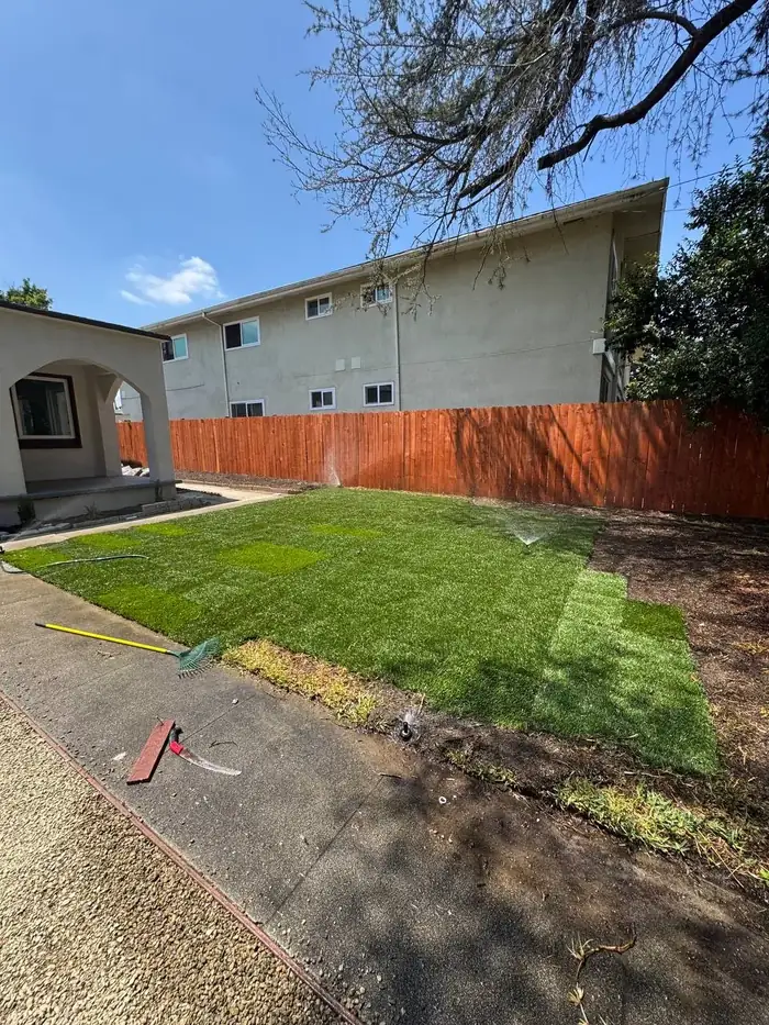 A newly laid sod lawn with sprinklers running beside a fresh wood fence