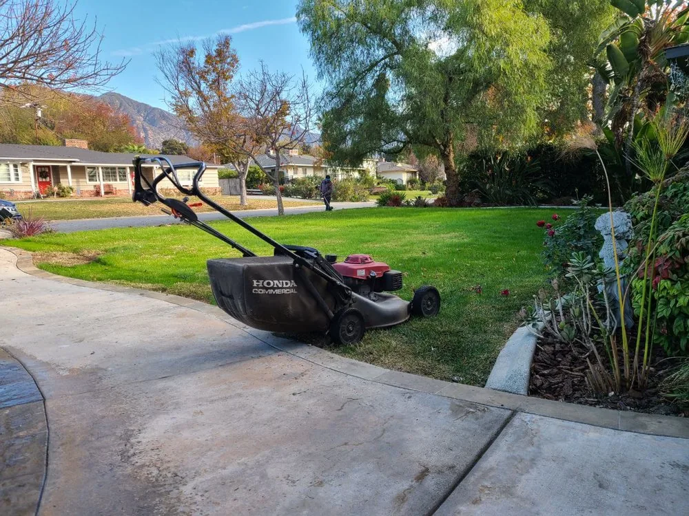 A lawn mower on a freshly mown lawn beside a curved driveway