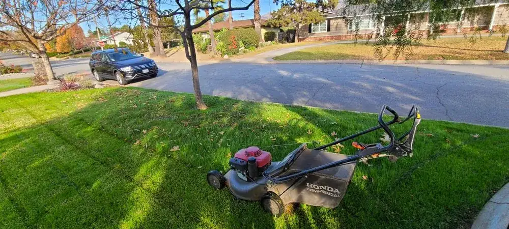 Lawn mowing street front yard