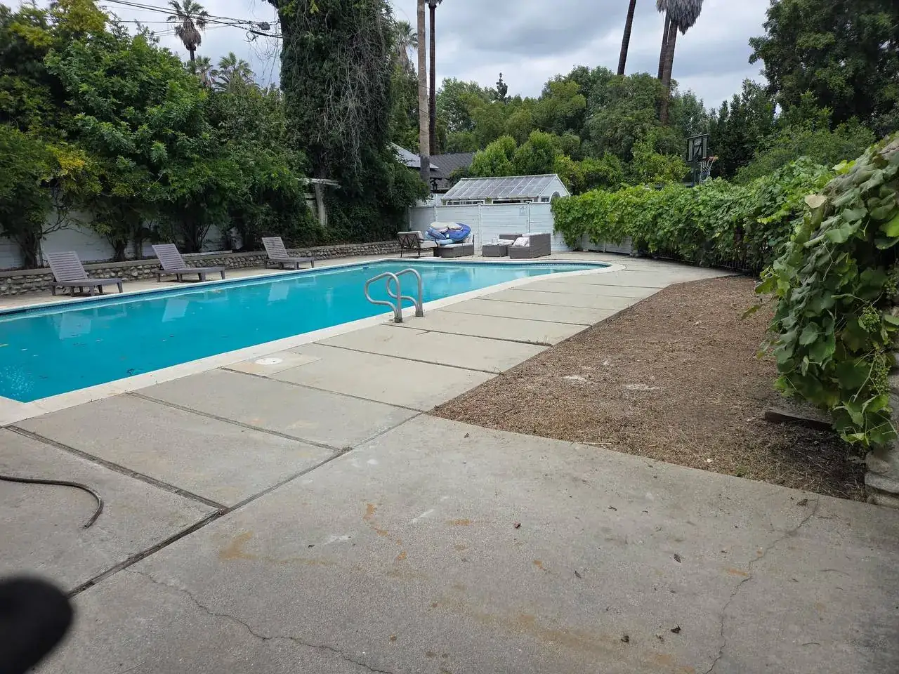 A pool and patio beside a trimmed garden with a grape-covered fence