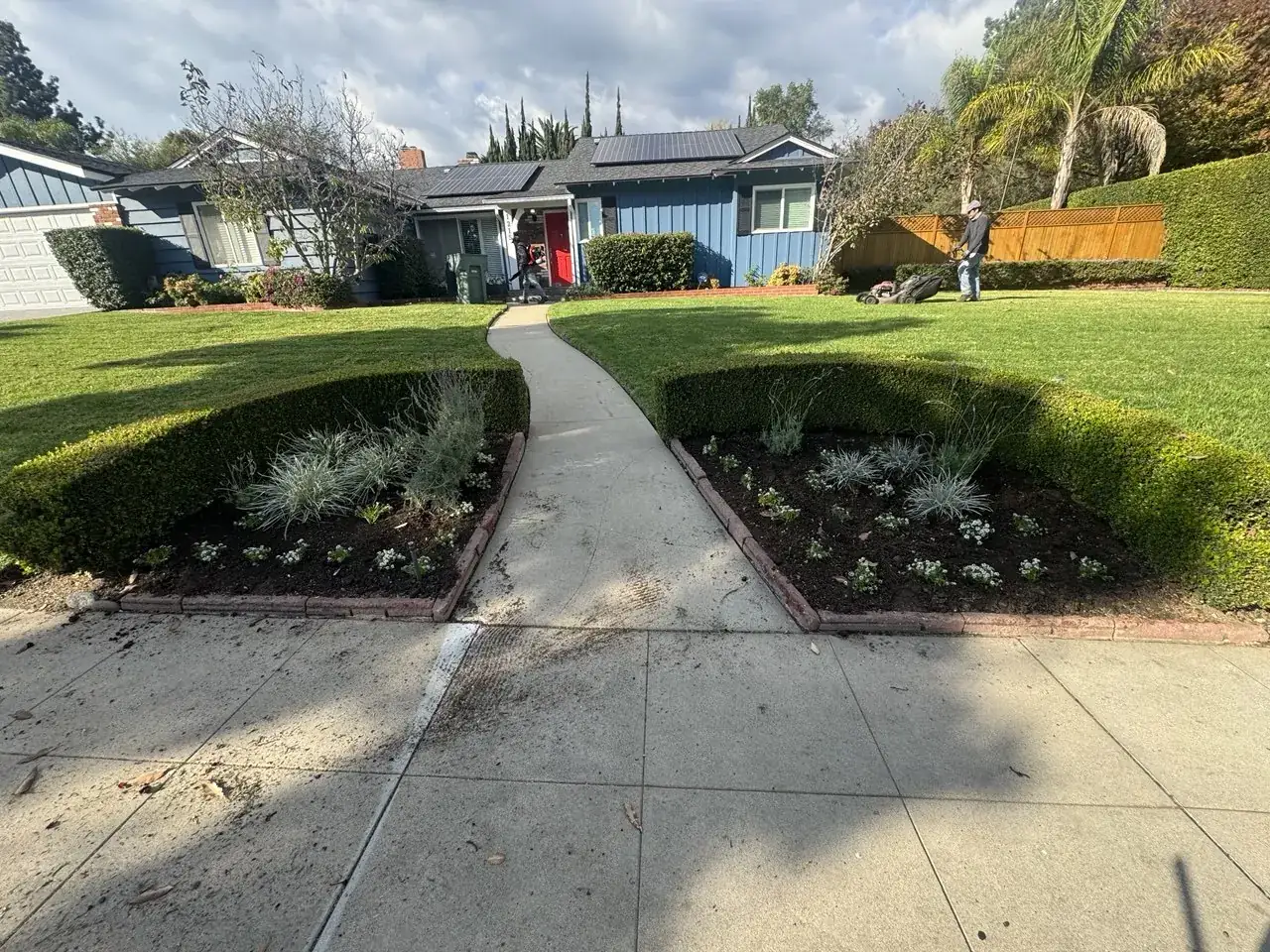 A trimmed hedge and planted bed beside a front walk