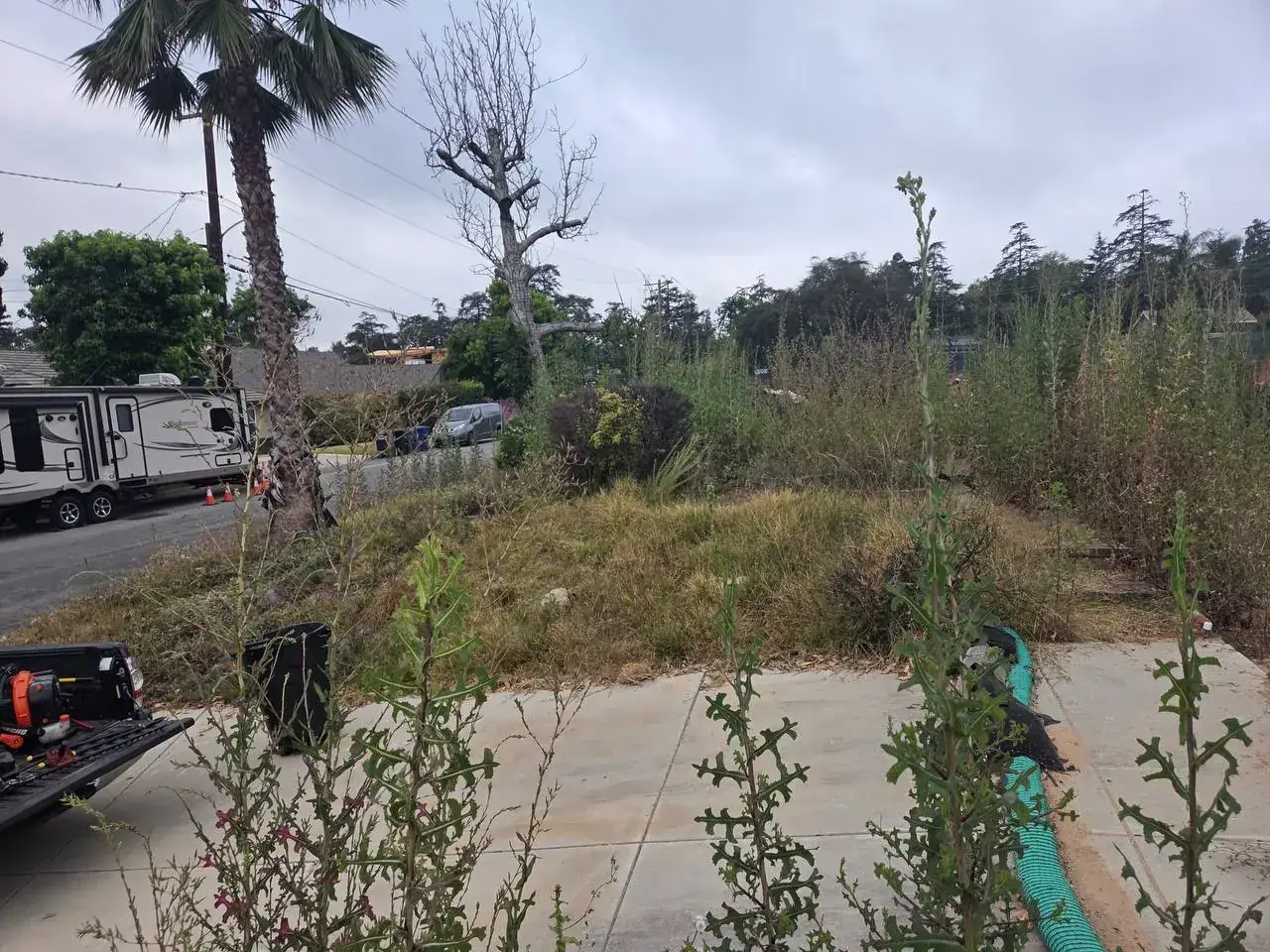Pasadena yard cleanup patio before
