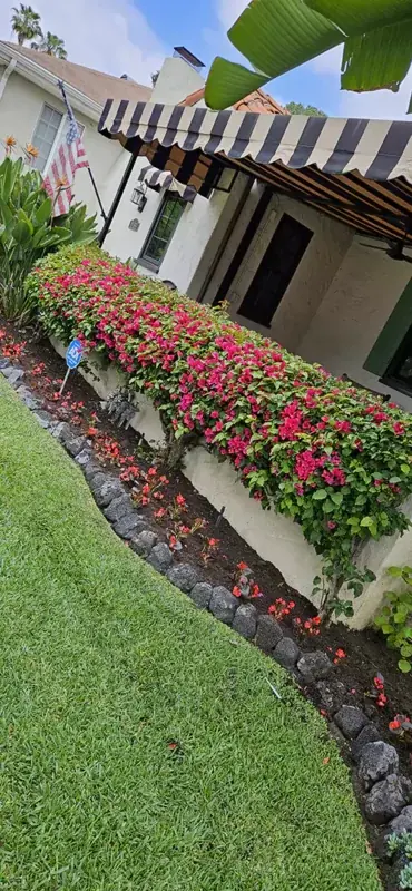 Red and pink flowers along a front walk beside a striped awning