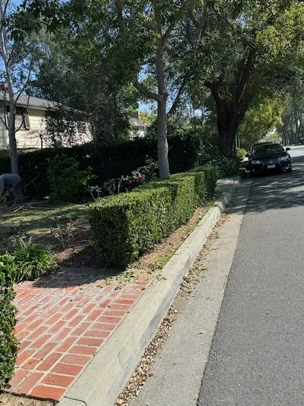 Trimmed hedge brick planter