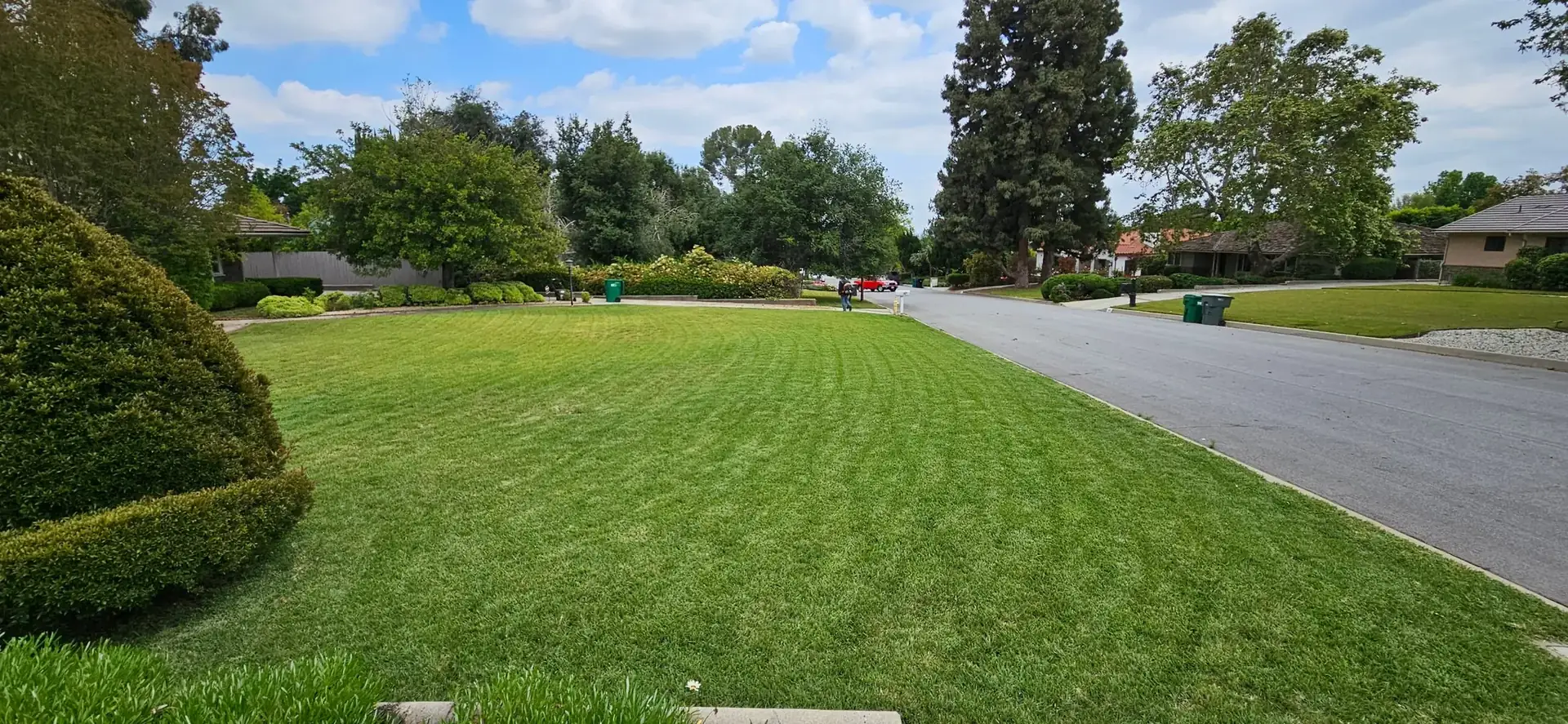 A freshly mown front lawn with trimmed shrubs on a quiet Pasadena street